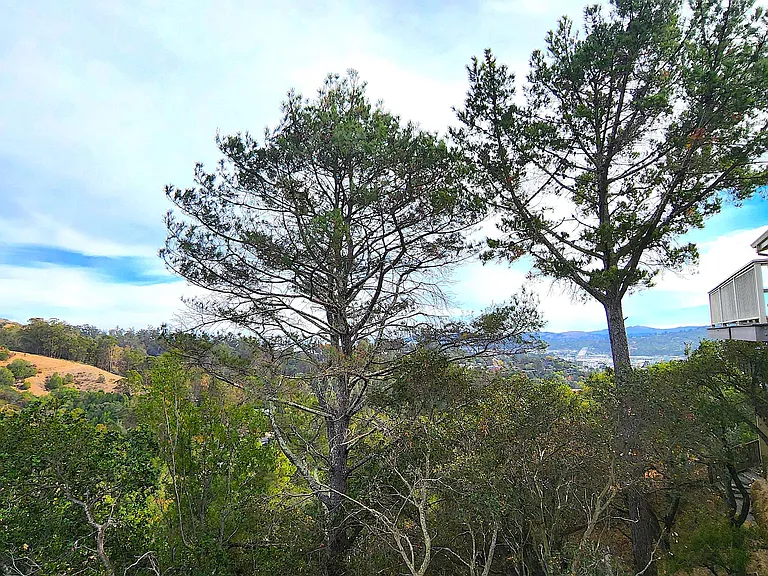 Views towards Corte Madera and Sausalito