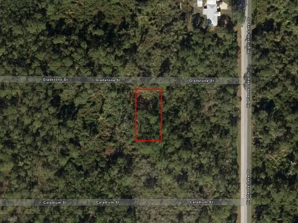 1521 Gladstone St, Lake Placid, FL 33852