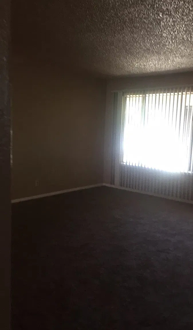 1 bed, $1,100 — Photo 2