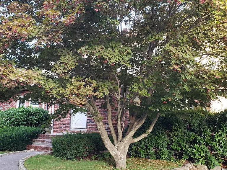 front entrance