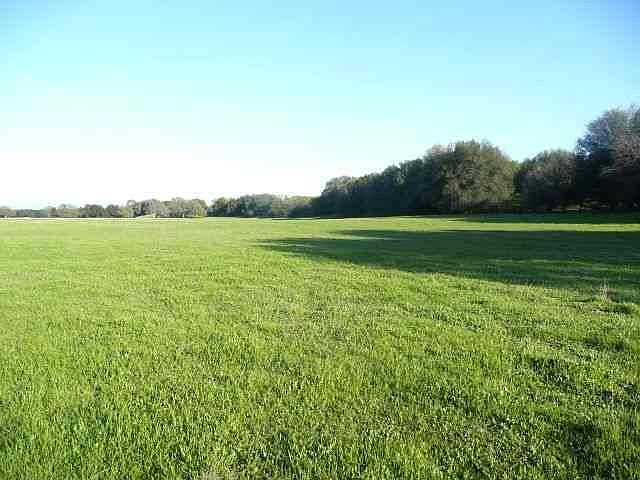 really looks like this