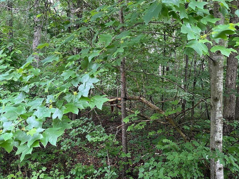 1st image of Ashford Dr
