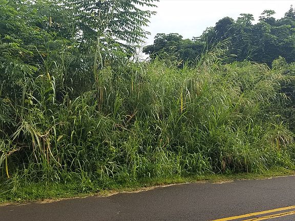 4th image of W Pohakupele Loop Lot 61