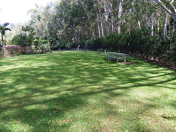 Large yard with BBQ grills