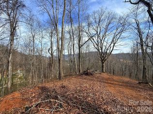 672 Porters Rdg, Canton, NC 28716