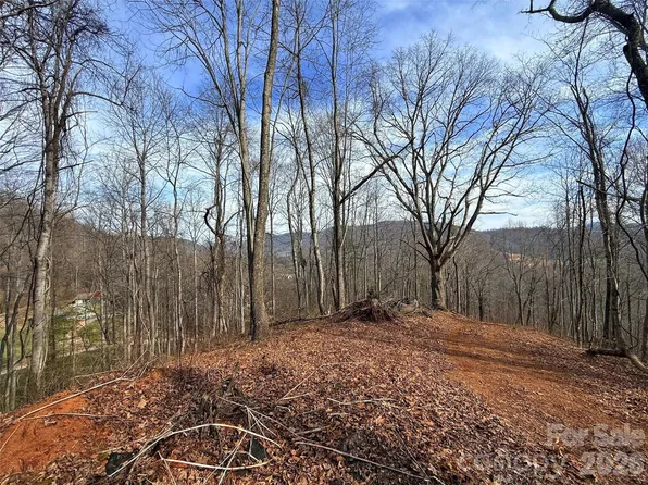 672 Porters Rdg, Canton, NC 28716