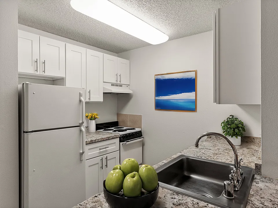 Clean, updated kitchen design with modern finishes and plenty of storage.