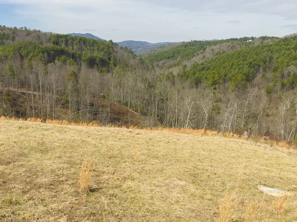 Carsonville Rd, Independence, VA 24348