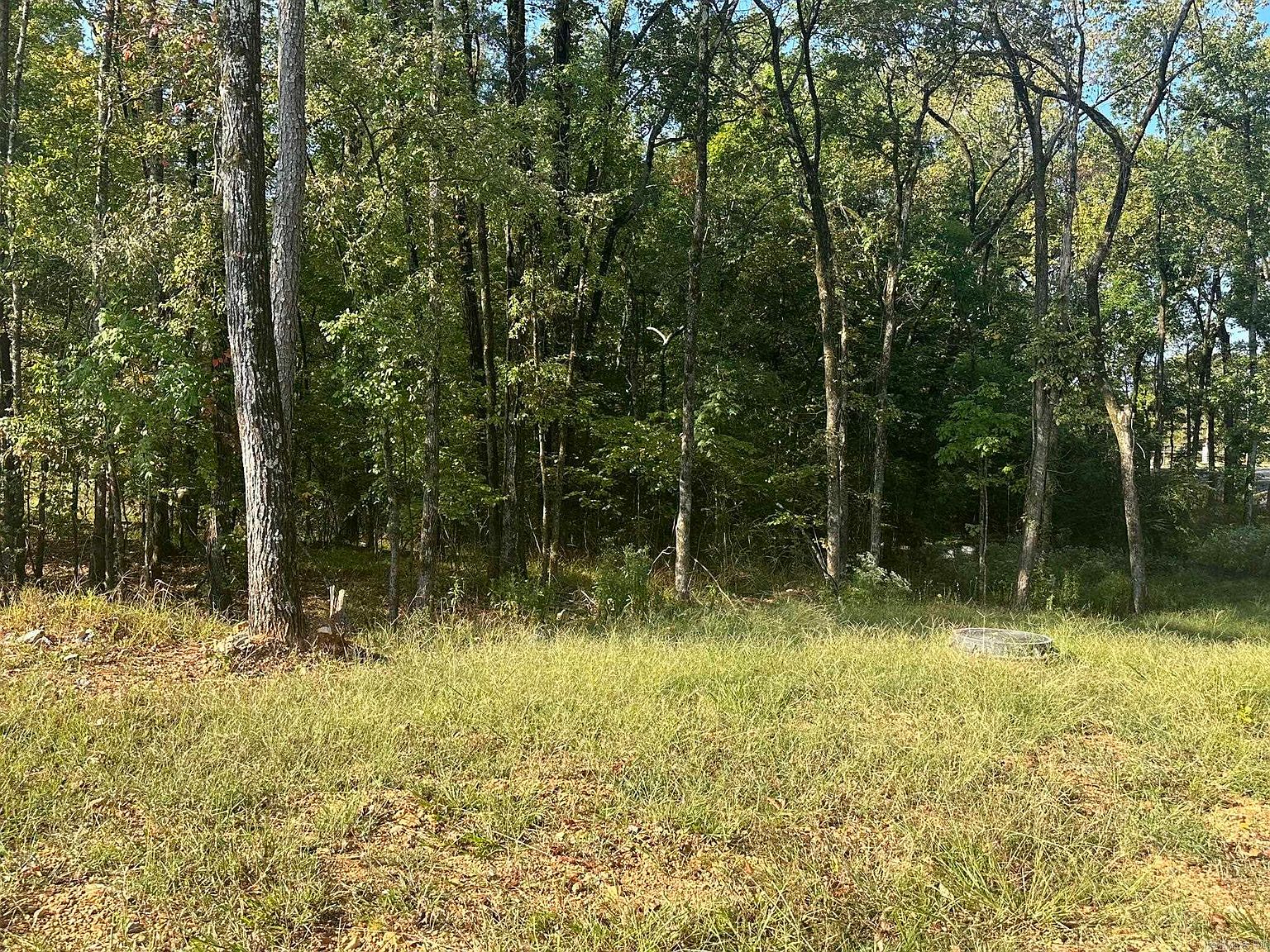 1897 Plum Hollow Blvd 1897, Hot Springs National Park, AR 71913 MLS