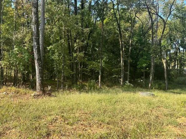 1898 Plum Hollow Blvd, Hot Springs National Park, AR 71913