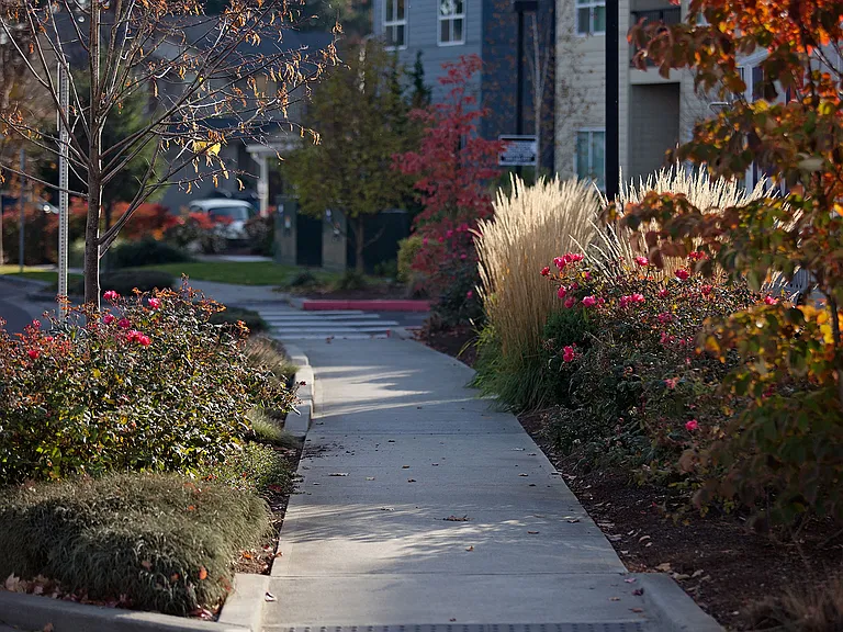 Walking paths