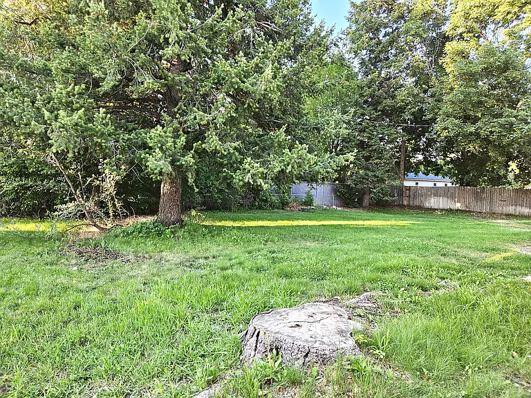 E Maxwell Ave — Photo 9