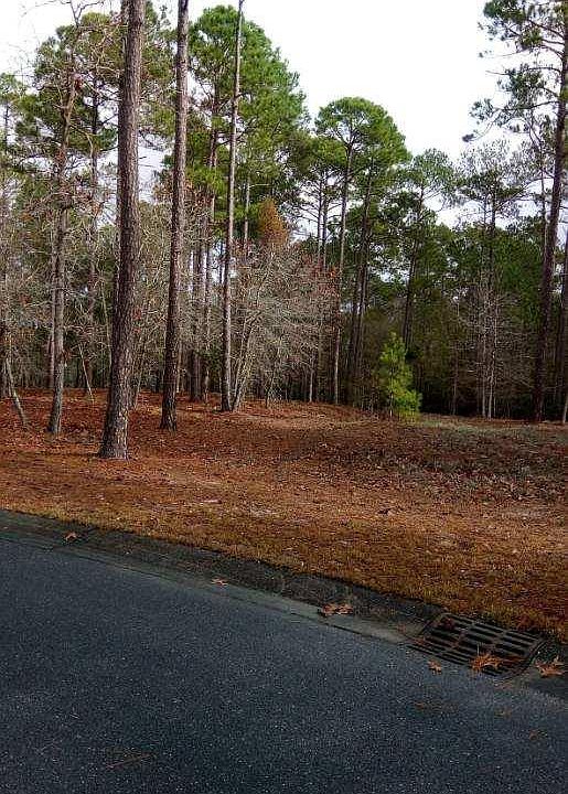 1st image of 2938 La Dauphine Ln SE
