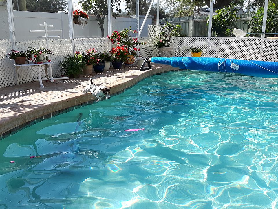 1st image of 515 Curlew Cir