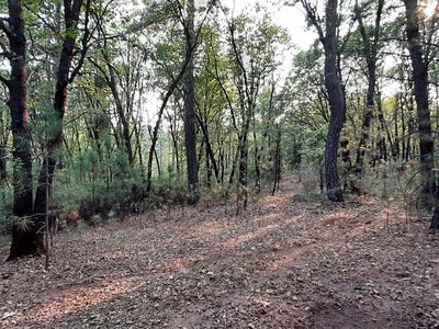 12495 Hidden Valley Rd, Grass Valley, CA, 95949