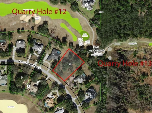 3834 W Black Diamond Cir, Lecanto, FL 34461