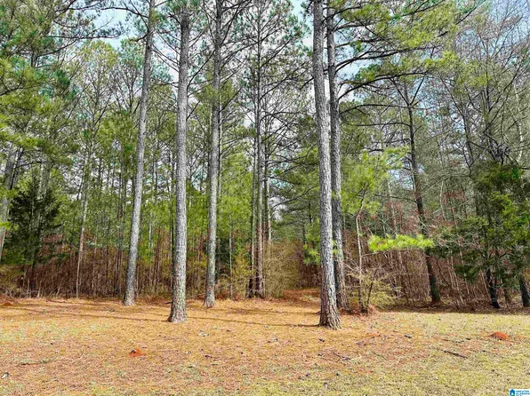 0 Wildberry Ln #13, Sylacauga, AL 35151