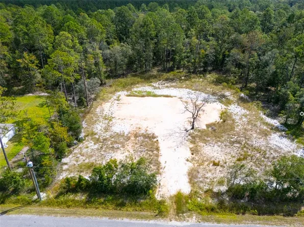 10340 Isaacson Ave, Hastings, FL 32145