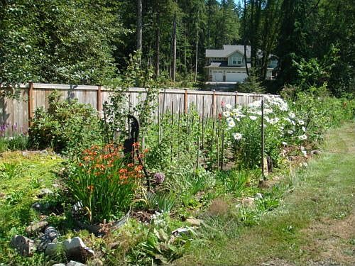 Front Raised Garden (3)