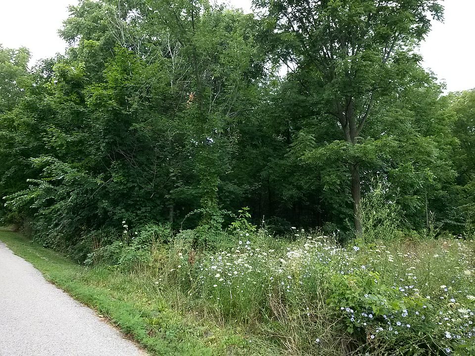 View of NE corner of lot