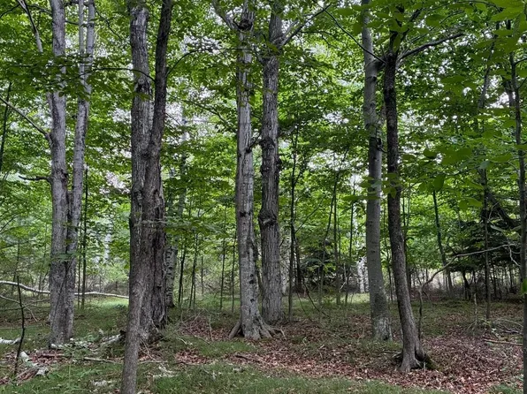 Airport Rd, Washington Island, WI 54246