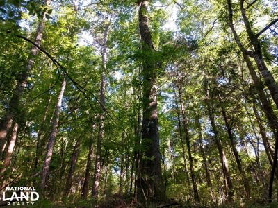 0 Ealum Mill Rd, Red Level, AL, 36474