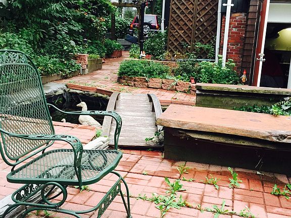 backyard gardening