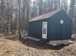 Blue Springs Rd, Falmouth, MI 49632