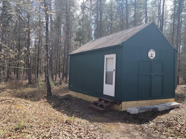 Blue Springs Rd, Falmouth, MI 49632