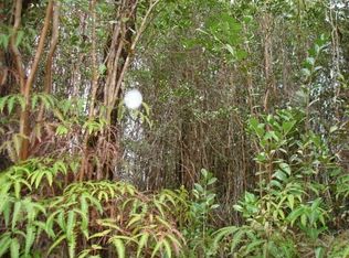 Road 5 LOT 4029, Mountain View, HI 96771