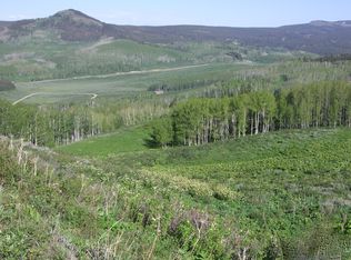 469 Rabbit Ears Loop, Kremmling, CO 80459