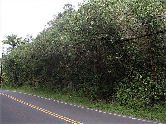 2nd image of Road 8 Moho Lot 5175