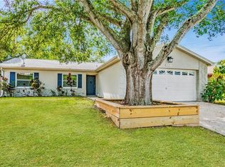 2521 Doe Ct, Clearwater, FL 33761