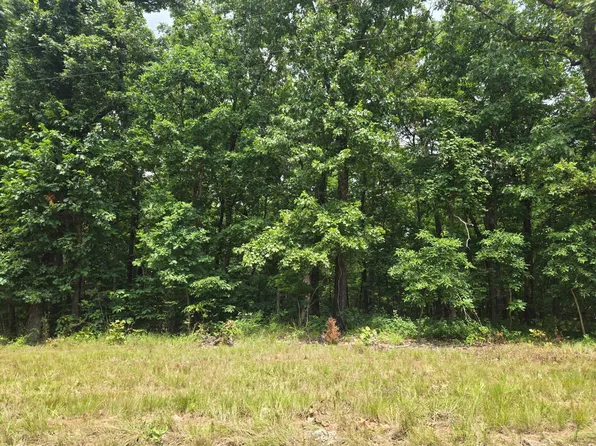 001 Muleshoe Trail, Elkland, MO 65644