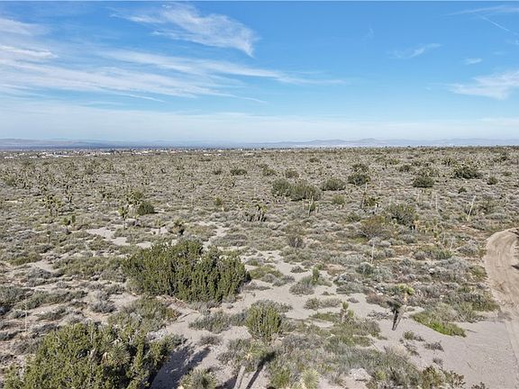 5th image of 1111 Wintergreen Rd