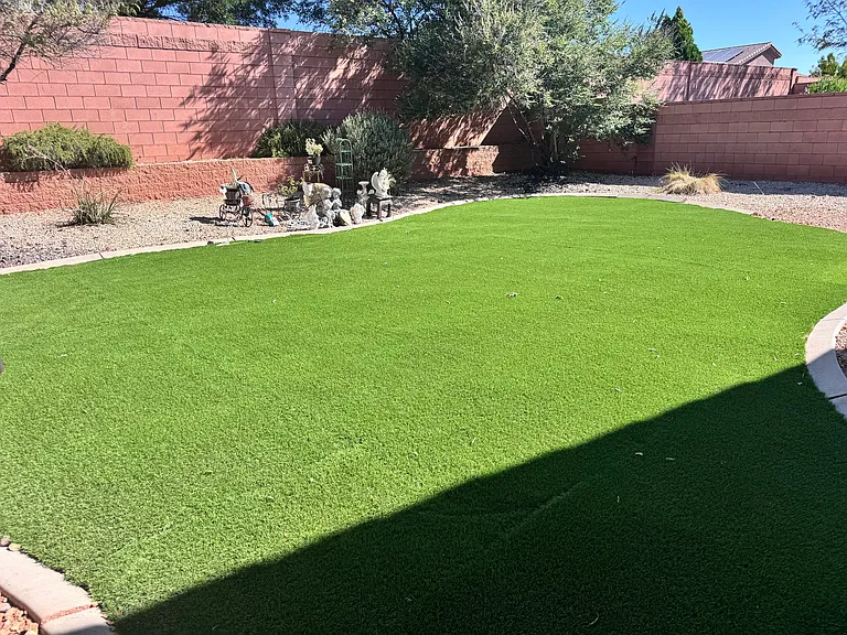 Full backyard