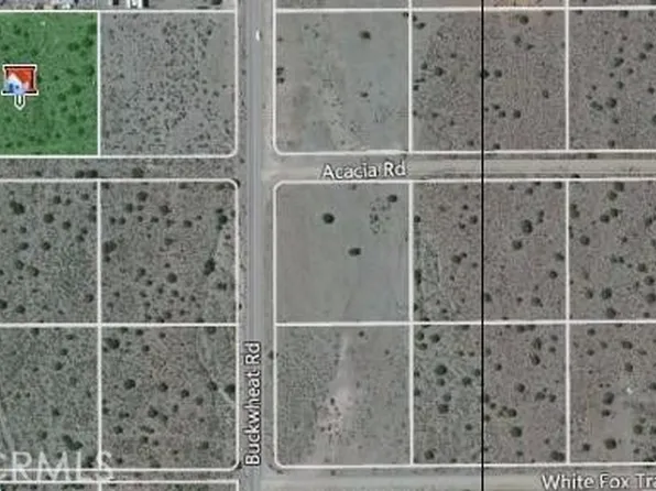 0 Buckwheat Rd #13, Pinon Hills, CA 92372