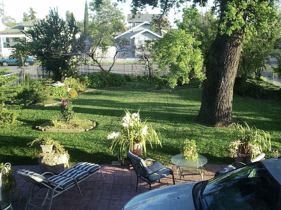 park like setting