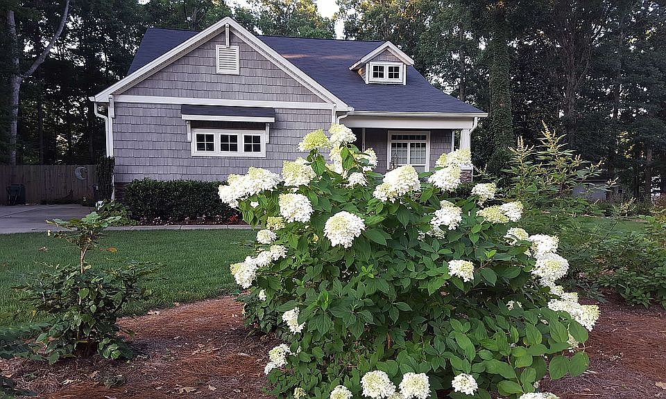 Front of the house 
