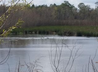 40 Acres Rockaway Creek Rd, Mc David, FL 32568