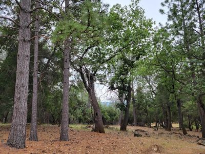 16700 Alice Way, Grass Valley, CA, 95949