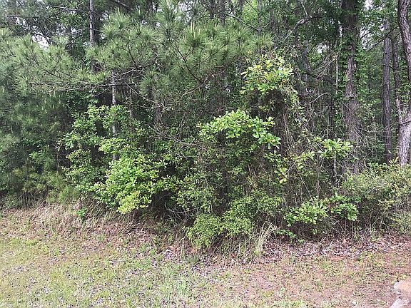 5th image of 13274 Dauphin Island Pkwy