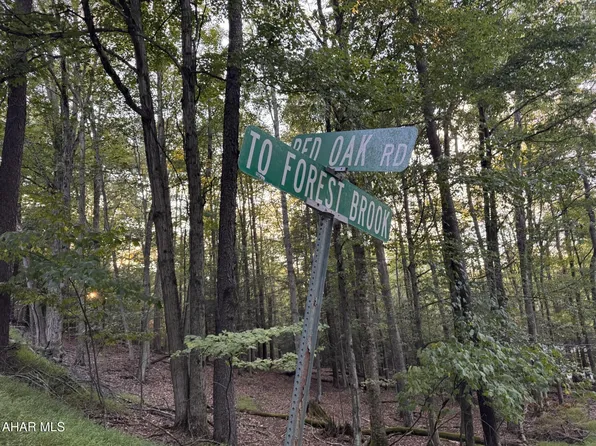 250 & 258 Red Oak Rd, Flinton, PA 16640