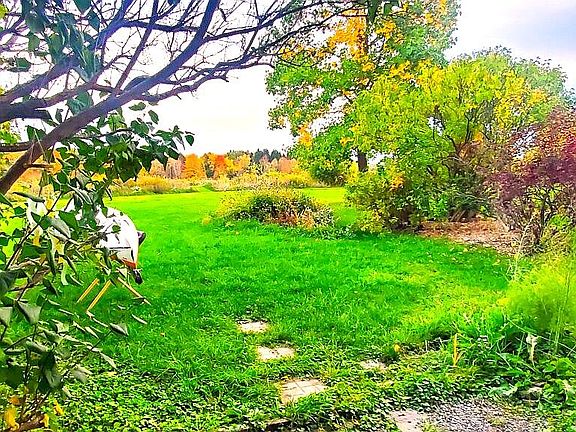 5th image of 113 Rachel Carson Way