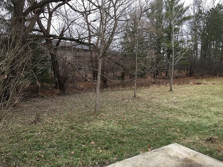 Backyard view