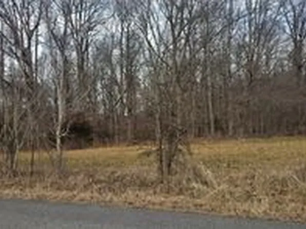 487 Paul Thompson Rd, Bethpage, TN 37022