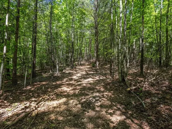 20 Pack Mountain Rd, Murphy, NC 28906