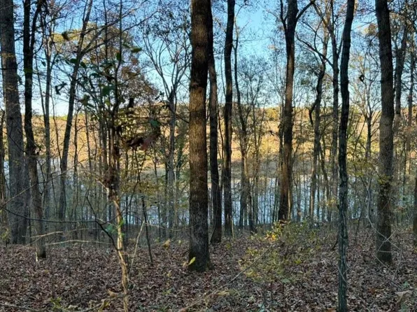 0 County Road 585, Rogersville, AL 35652