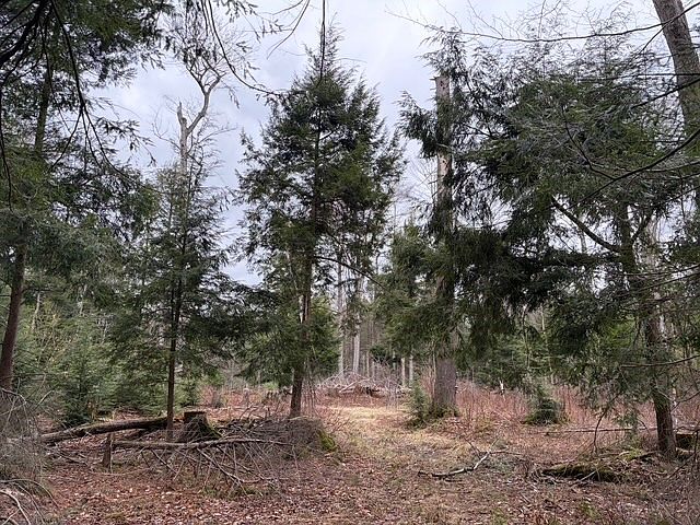 1st image of Pritchard Rd Lot 23