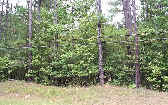 5th image of 234 W River Bend Dr